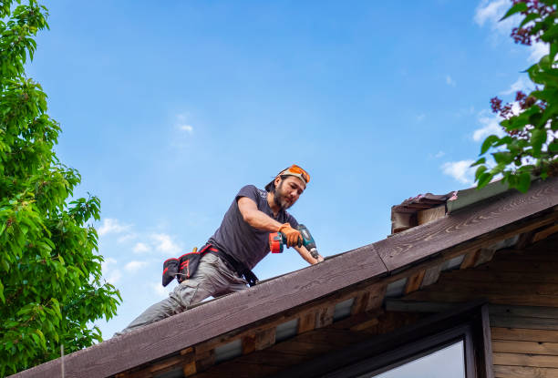 Best Roof Maintenance and Cleaning  in Fairfax, MN