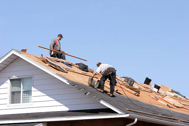 Best Storm Damage Roof Repair  in Fairfax, MN